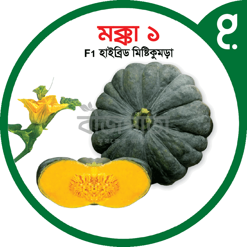 মক্কা ১-হাইব্রিড মিষ্টিকুমড়া বীজ|বীজপাতা|Makkah 1-Pumpkin Seed|Bizpata