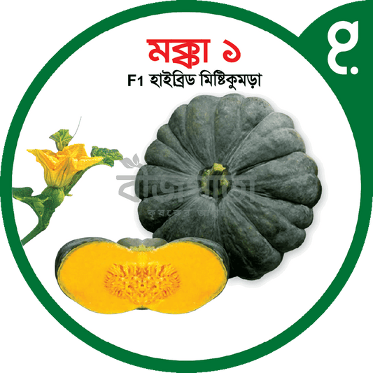 মক্কা ১-হাইব্রিড মিষ্টিকুমড়া বীজ|বীজপাতা|Makkah 1-Pumpkin Seed|Bizpata
