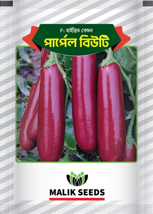 Purple_beauty_ - Malik Seeds