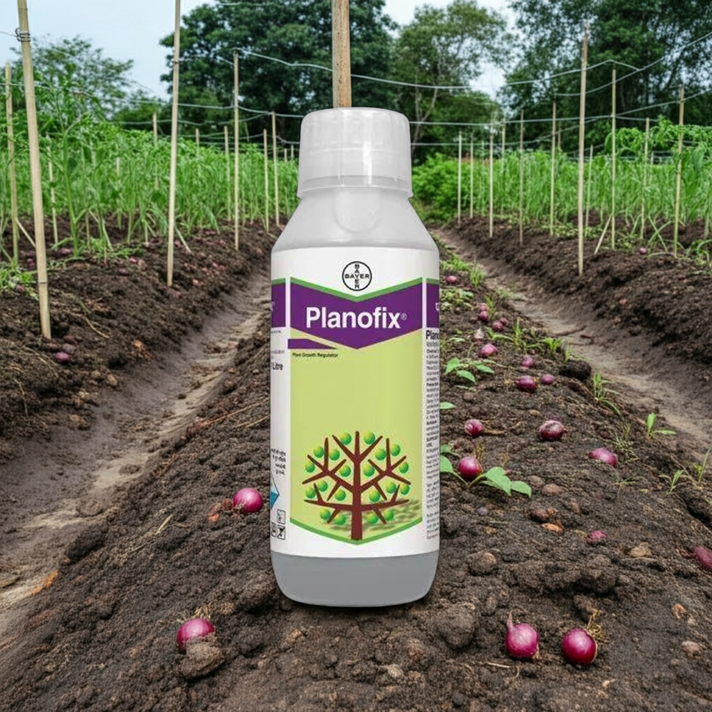 Planofix(Alpha Naphthalene Acetic Acid) PGR । Bayer for Onion cultivation 