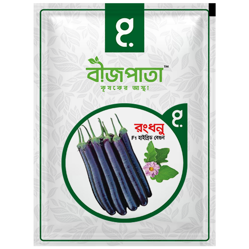 রংধনু এফ১-হাইব্রিড বেগুন বীজ|বীজপাতা|Rongdhonu- Eggplant Seed|Bizpata