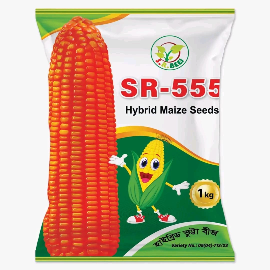 এস আর ৫৫৫ (SR 555)।হাইব্রিড ভূট্টা বীজ।এস আর বীজ