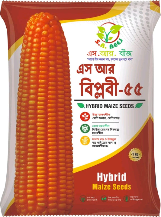 এস আর বিপ্লবী-৫৫ (SR Biplobi-55)।হাইব্রিড ভূট্টা বীজ।এস আর বীজ