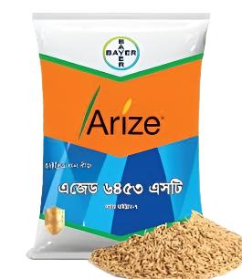 হাইব্রিড ধান বীজ-অ্যারাইজ এজেড ৬৪৫৩ এসটি|বায়ার|Hybrid Rice Seed-Arize AZ6453 ST|Bayer
