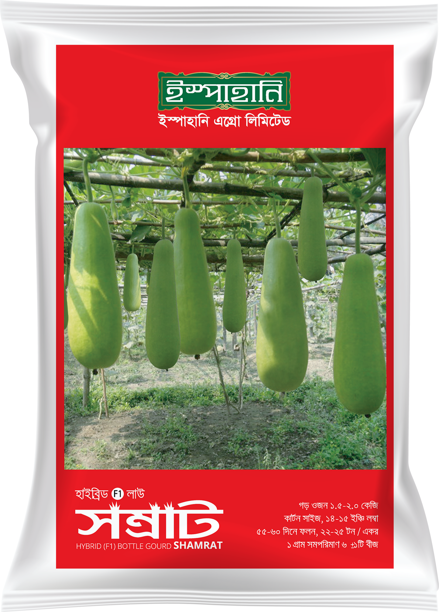 হাইব্রিড লাউ সম্রাট