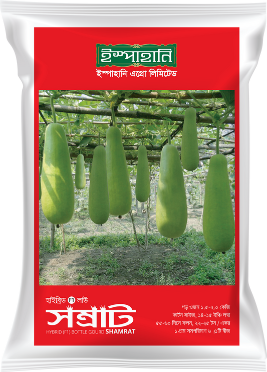 হাইব্রিড লাউ সম্রাট