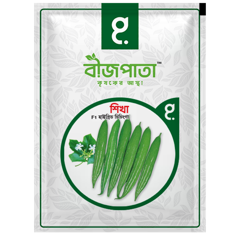 শিখা (Shikha)-হাইব্রিড চিচিঙ্গা বীজ|বীজপাতা