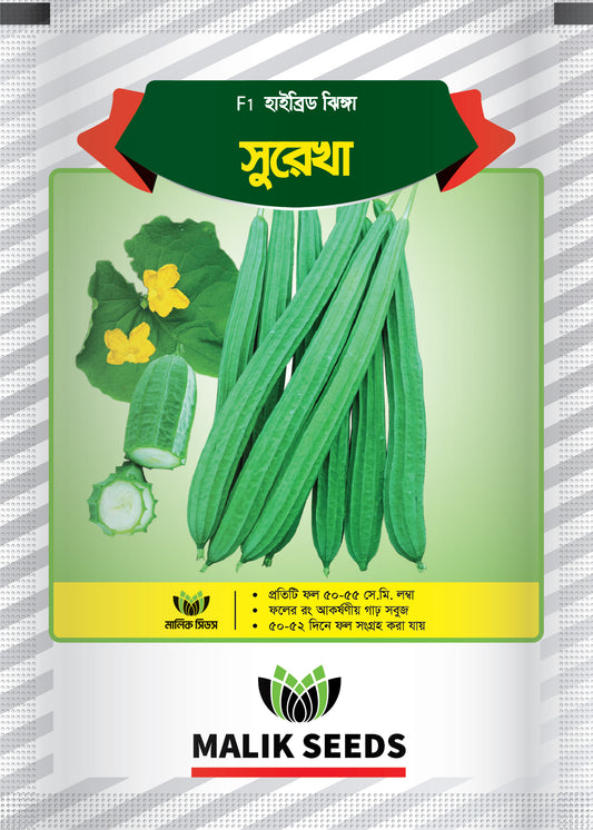 হাইব্রিড ঝিঙ্গা-সুরেখা।এ আর মালিক সীডস।Hybrid Snake Gourd-Shurekha।AR Malik Seeds