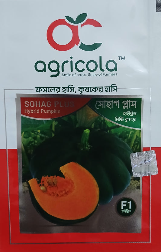 হাইব্রীড মিস্টি কুমড়া বীজ- সোহাগ প্লাস (Shohag Plus)|এগ্রিকোলা লিমিটেড