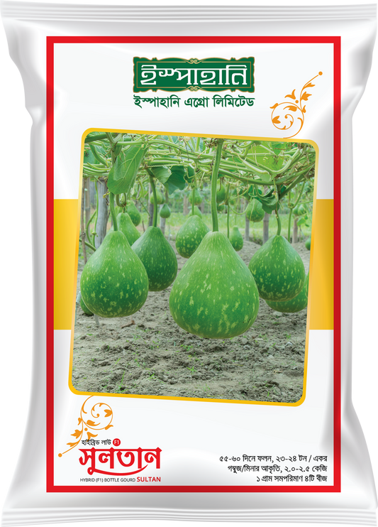 হাইব্রিড লাউ সুলতান