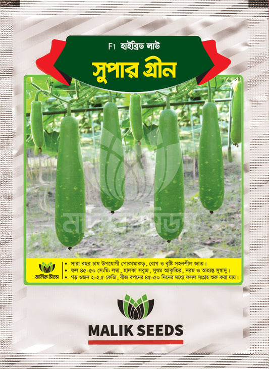 হাইব্রিড লাউ-সুপার গ্রীন। এ আর মালিক সীডস ।Hybrid Bottle Gourd-Super Green।AR Malik Seeds