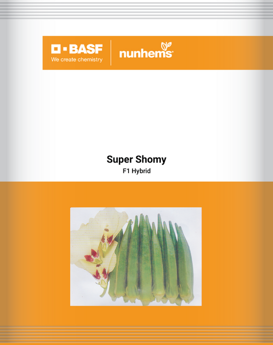 Super_Shomy-01-Malik Seeds