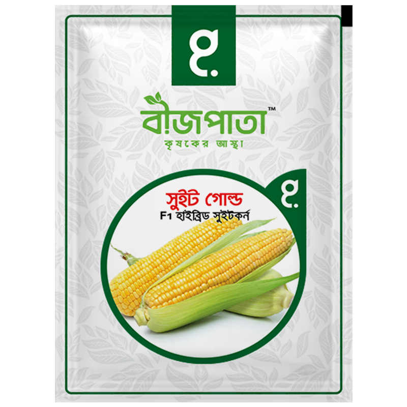 সুইট গোল্ড এফ১ (Sweet Gold)-হাইব্রিড সুইট কর্ন বীজ|বীজপাতা