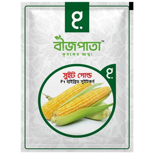 সুইট গোল্ড এফ১ (Sweet Gold)-হাইব্রিড সুইট কর্ন বীজ|বীজপাতা