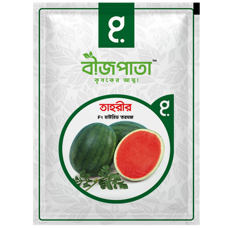 তাহরীর এফ১ (Tahrir)-হাইব্রিড তরমুজ বীজ|বীজপাতা