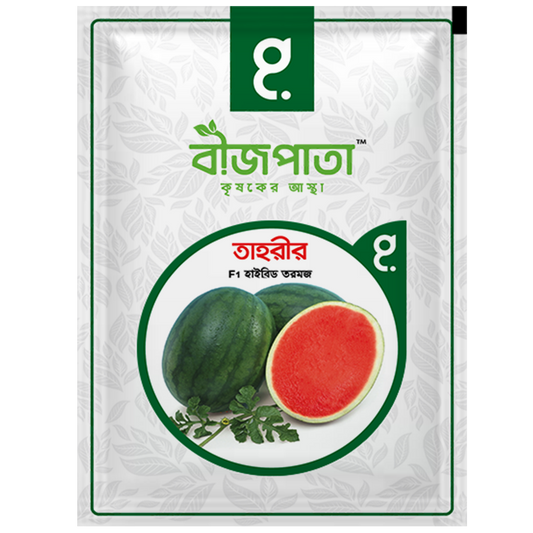 তাহরীর এফ১ (Tahrir)-হাইব্রিড তরমুজ বীজ|বীজপাতা