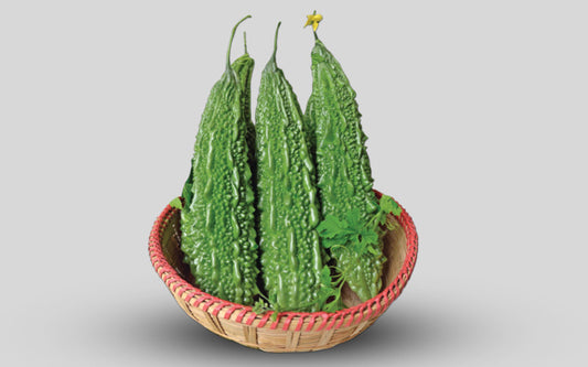 হাইব্রিড করলা- টিয়া সুপার।লাল তীর। Hybrid bitter gourd-Tea super। Lal teer