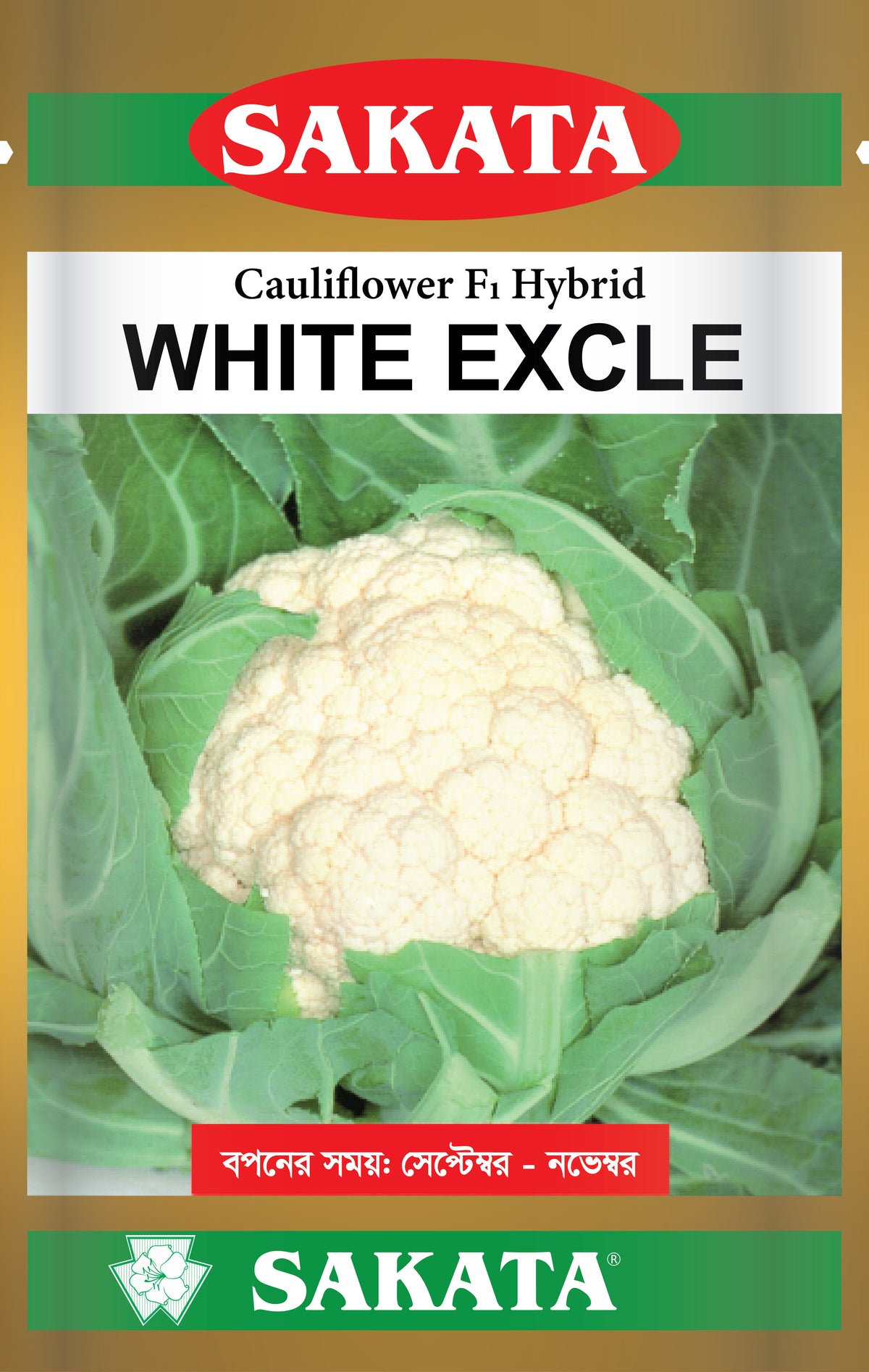 WHITE_EXCLE - Malik Seeds