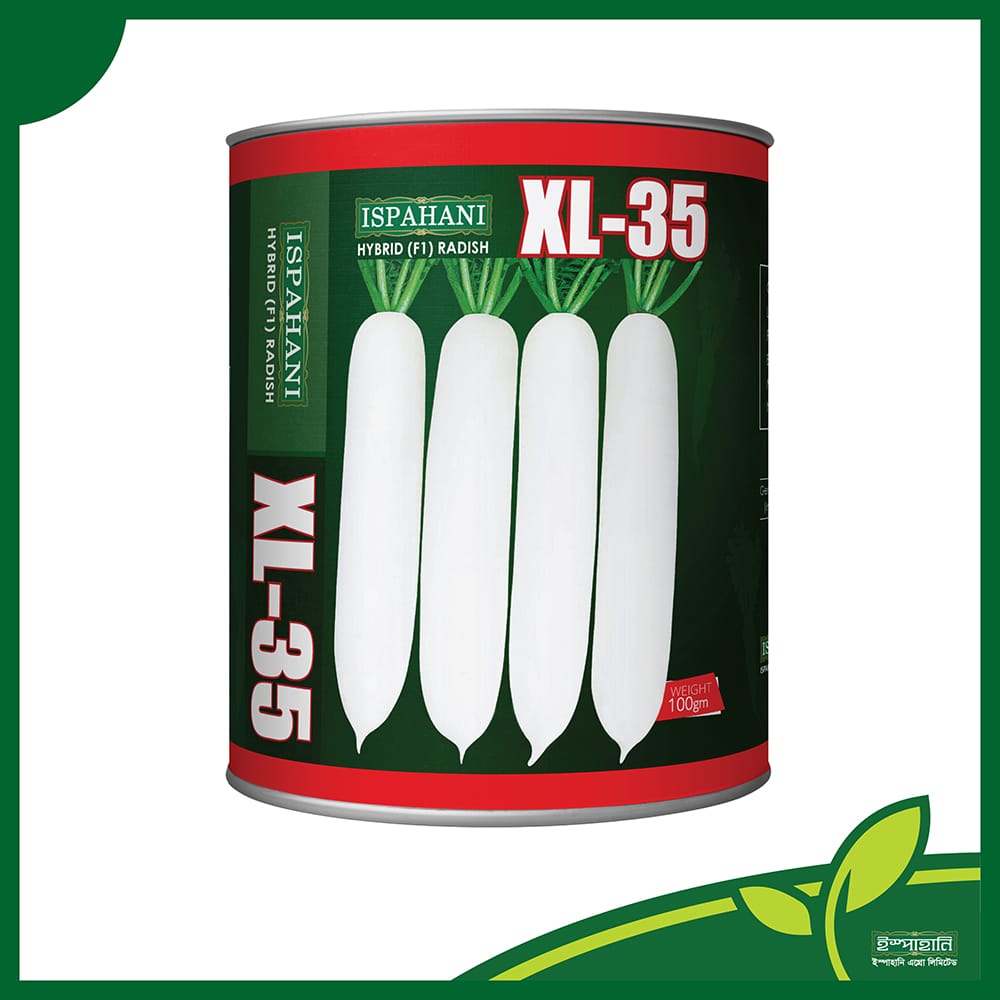 এক্স এল ৩৫ মুলা।হাইব্রিড মুলা বীজ। XL 35  radish। ispahani agro । কোরিয়া হতে আমদানিকৃত। সারা বছর চাষ উপযোগী, । ispahani agro । ৩০-৩৫ দিন পর ফসল সংগ্রহ করা যায়