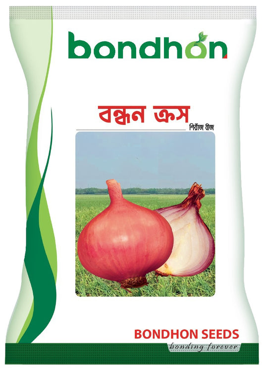 দেশী পেঁয়াজ- বন্ধন ক্রস।বন্ধন সীডস । Native Onion-Bondhon Cross। Bondhon seeds