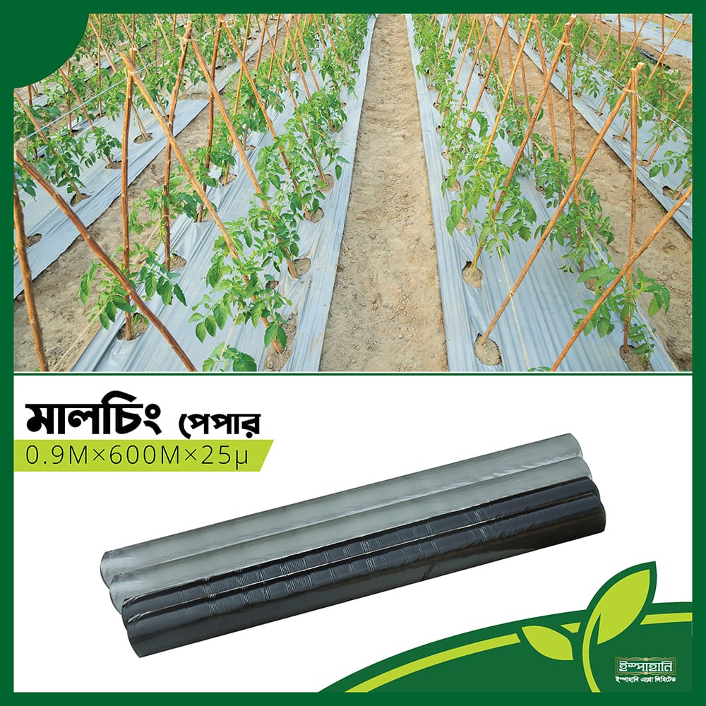 ইস্পাহানি- মালচিং পেপার।ইস্পাহানি এগ্রো। Ispahani -mulching paper। Ispahani Agro