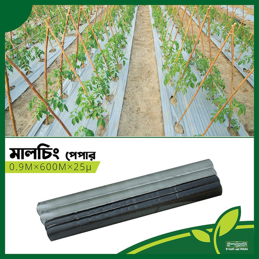 ইস্পাহানি- মালচিং পেপার।ইস্পাহানি এগ্রো। Ispahani -mulching paper। Ispahani Agro