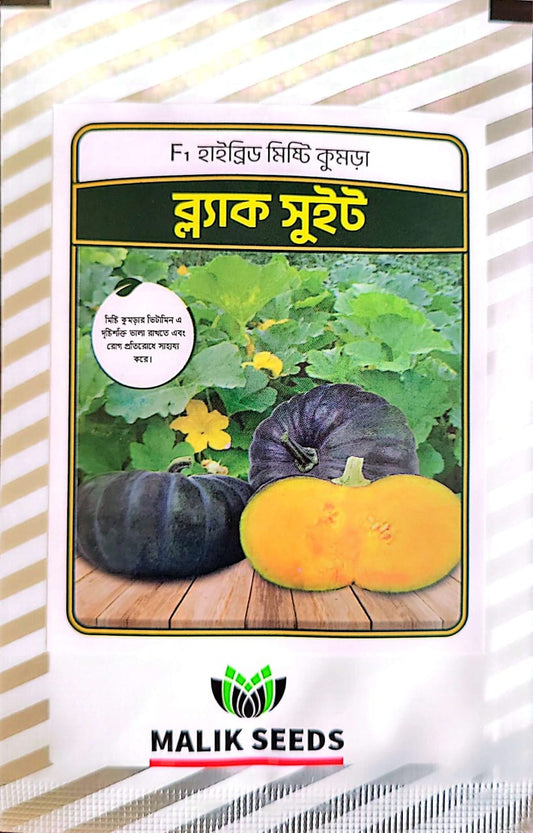 হাইব্রিড মিষ্টি কুমড়া-ব্ল্যাক সুইট। এ আর মালিক সীডস ।Hybrid Pumpkin-Black sweet।AR Malik Seeds