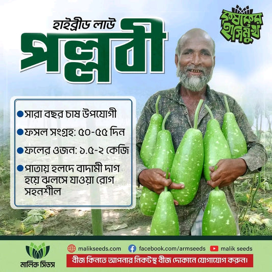 হাইব্রিড লাউ-পল্লবী । এ আর মালিক সীডস ।Hybrid Bottle Gourd-Pallabi।AR Malik Seeds