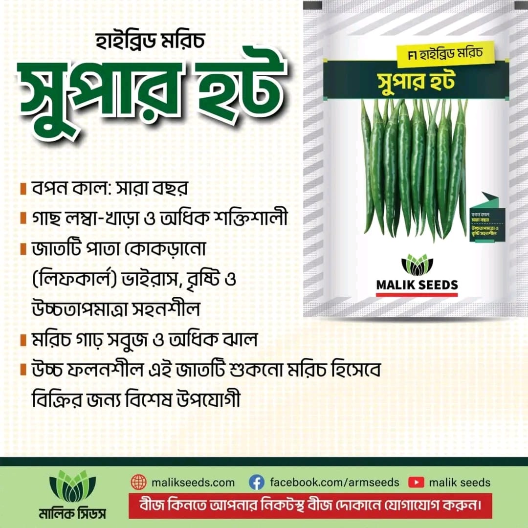 হাইব্রিড মরিচ-সুপার হট।এ আর মালিক সীডস।Hybrid chili-Super hot।AR Malik Seeds