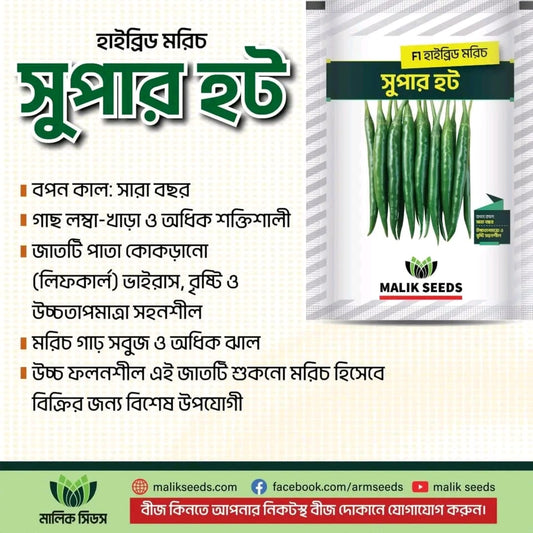 হাইব্রিড মরিচ-সুপার হট।এ আর মালিক সীডস।Hybrid chili-Super hot।AR Malik Seeds