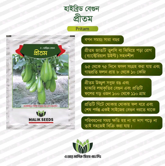 হাইব্রিড বেগুন- প্রীতম।এ আর মালিক সীডস।Hybrid Brinjal-Pritam Seed ।AR Malik Seeds
