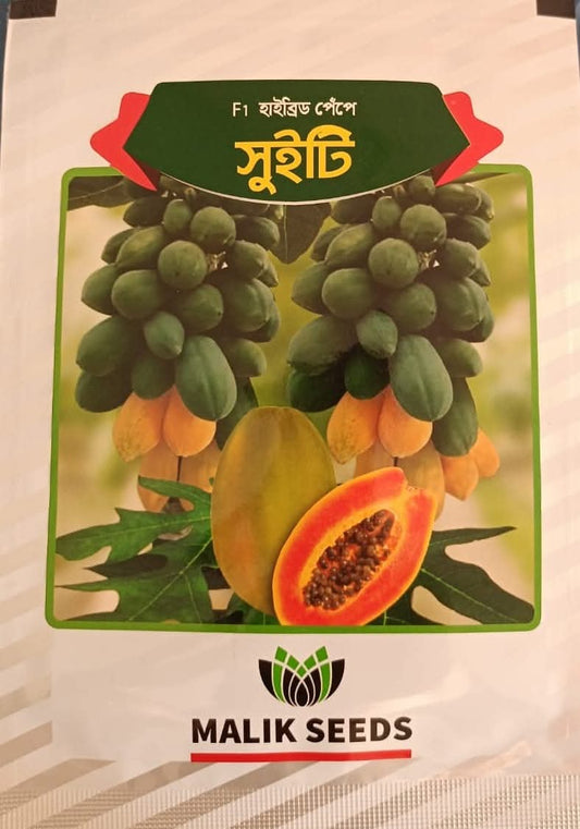 হাইব্রিড পেঁপে-সুইটি।এ আর মালিক সীডস ।Hybrid Papaya-Sweety।AR Malik Seeds