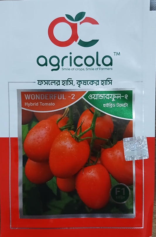 আগাম টেমেটো: ওয়ান্ডারফুল-২(Wonderful-2)|এগ্রিকোলা লিমিটেড