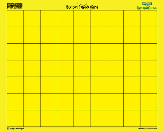 ইয়োলো স্টিকি ট্রাপ