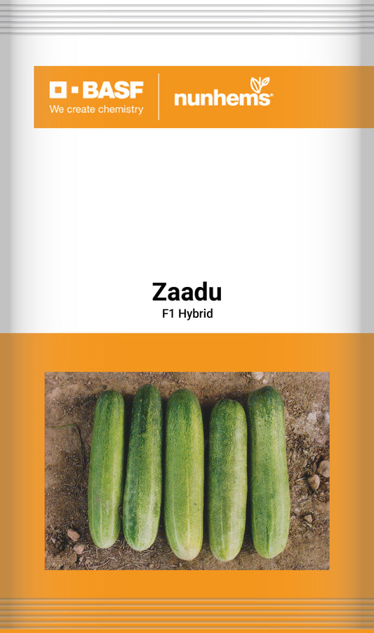 Zaadu_Ar_Malik_Seed