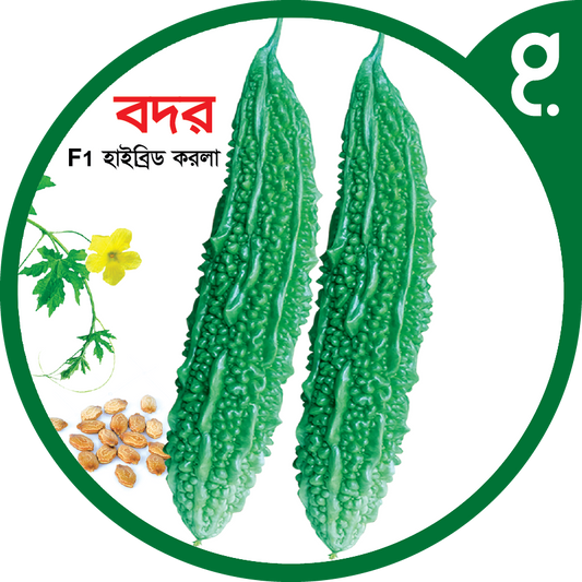 বদর-হাইব্রিড করলা বীজ|বীজপাতা|Badar-Bitter Gourd Seed|Bizpata
