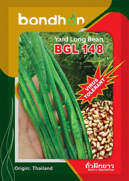 বরবটি- বিজিএল-১৪৮।বন্ধন সীডস। Yard long Bean BGL 148। Bondhon seeds