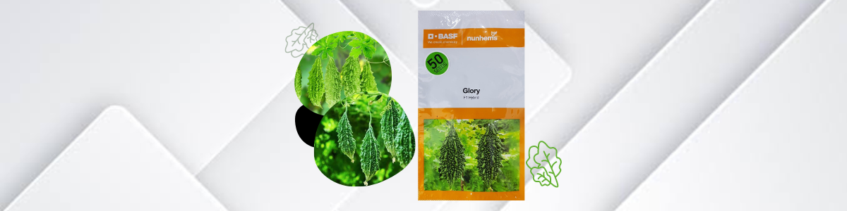 bitter gourd seed - basf nunhems - manik seed - halal agro - shop cover photo