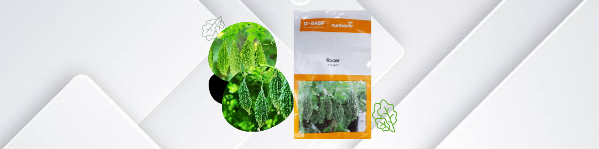 bitter gourd seed - basf nunhems - manik seed - halal agro - shop cover photo