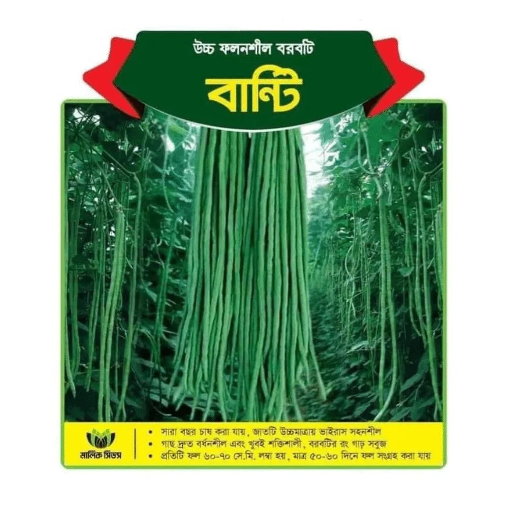 bunty_Yard-Long_bean_malikseed
