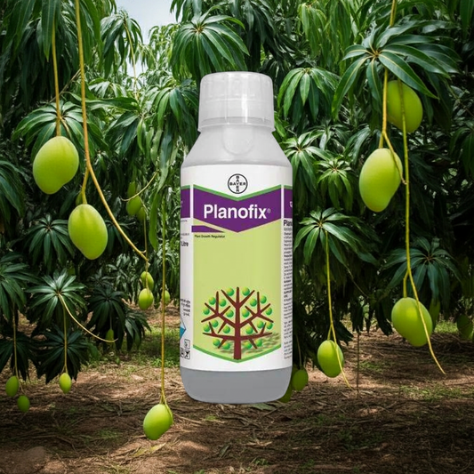 Planofix(Alpha Naphthalene Acetic Acid) PGR । Bayer for Mango cultivation 