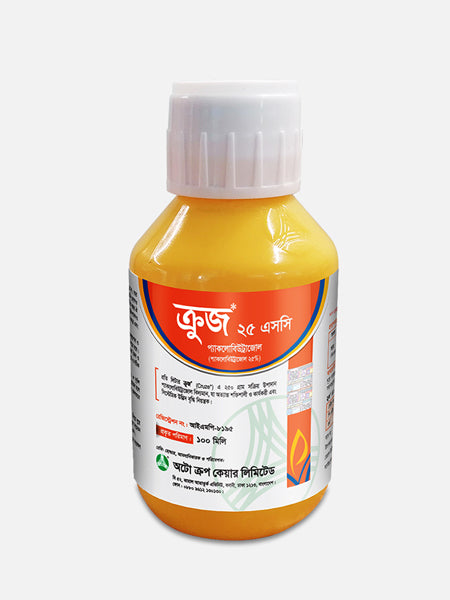 ক্রুজ