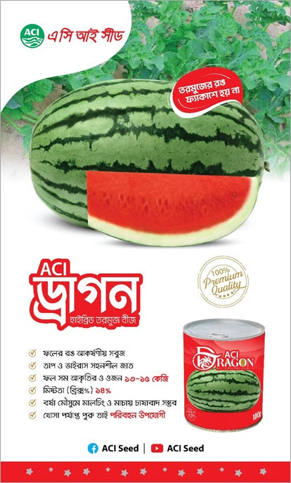 হাইব্রিড তরমুজ-ড্রাগন।এ সি আই সীড।Hybrid Watermelon-Dragon।ACI Seed