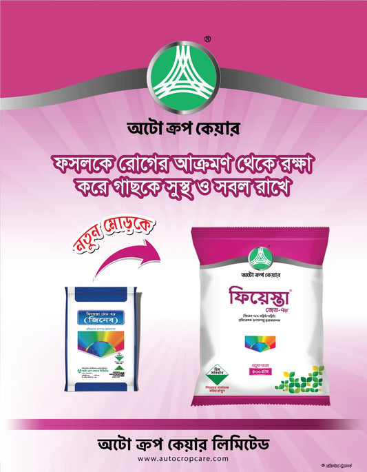 ফিয়েস্তা জেড ®-৭৮ (জিনেব) (জিংক ইথিলিন বিস ৭৫%) -ছত্রাকনাশক|অটো ক্রপ কেয়ার|Fiesta Z ®-78 (Zineb) (Zinc Ethylene Bis 75%)-Fungicide |Auto Crop Care