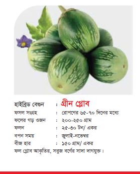 হাইব্রিড বেগুন-গ্রীন গ্লোব।এ সি আই সীড।Hybrid Egg Plant-Green Glob।ACI Seed