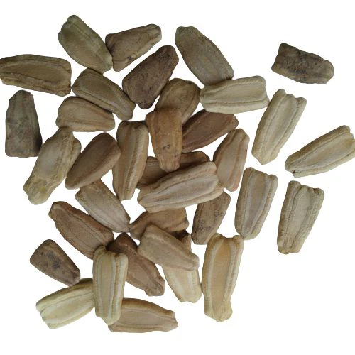 হাইব্রীড লাউ বীজ-তাসফি|লালতীর|Hybrid Bottle Groud Seed-Tafshi|Lal Teer