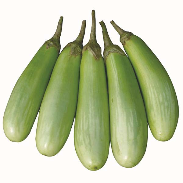 হাইব্রিড বেগুন- প্রীতম।এ আর মালিক সীডস।Hybrid Brinjal-Pritam Seed ।AR Malik Seeds