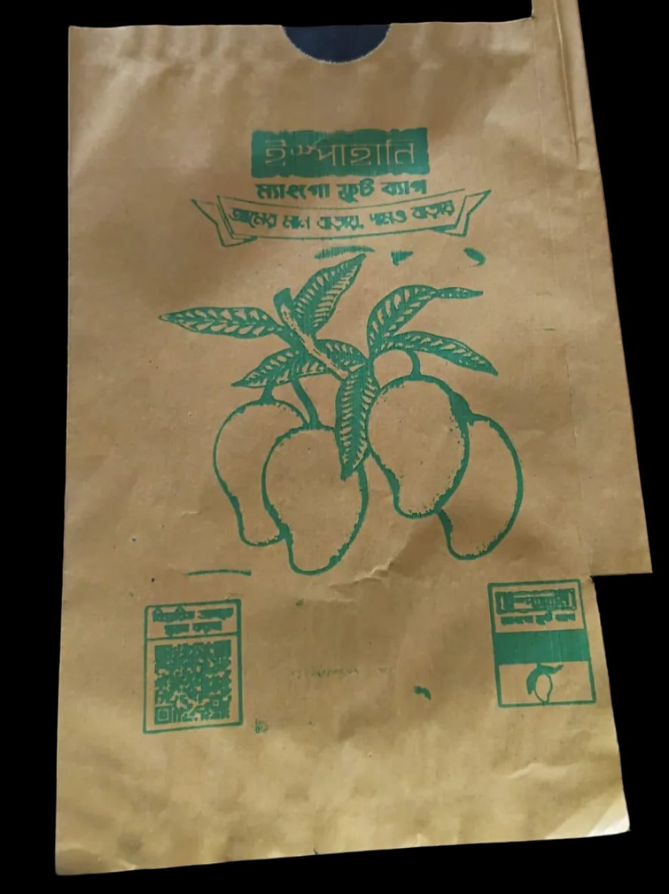 Ispahani katimon mango fruit bag picture on halal agro tech