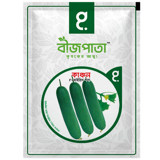 কাঞ্চন-হাইব্রিড শসা বীজ|বীজপাতা|Kanchan-Cucumber Seed|Bizpata
