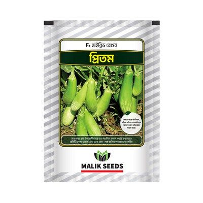 হাইব্রিড বেগুন- প্রীতম।এ আর মালিক সীডস।Hybrid Brinjal-Pritam Seed ।AR Malik Seeds